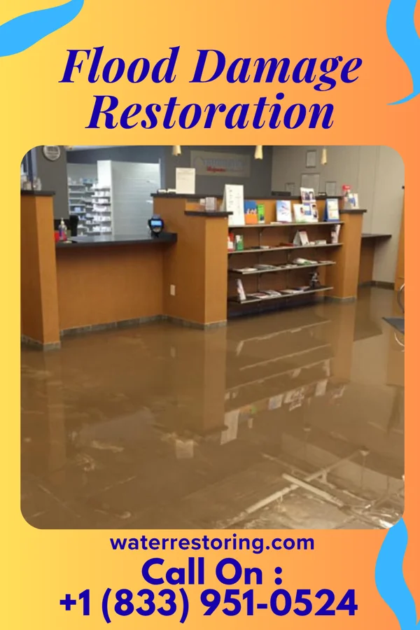 Flood Damage Restoration in Simonton Lake, IN