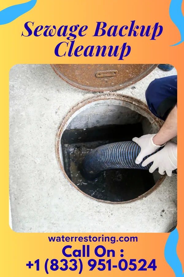 Sewage Backup Cleanup in Simonton Lake, IN
